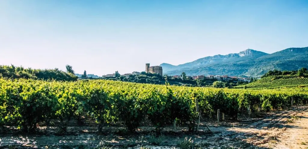 Bodega Remirez de Ganuza en Samaniego, Rioja Alavesa