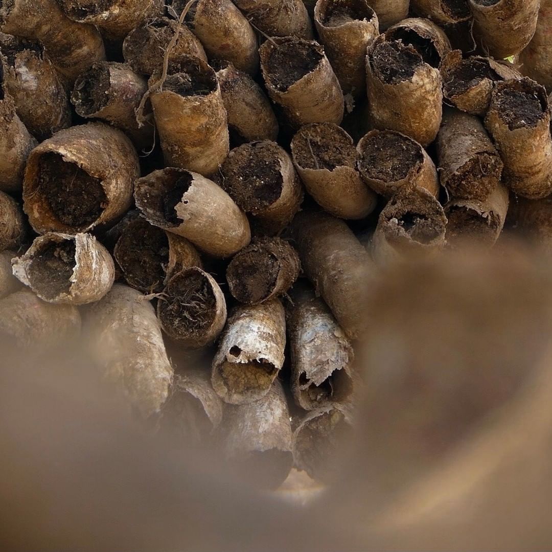 Tinajas de barro para la fermentación