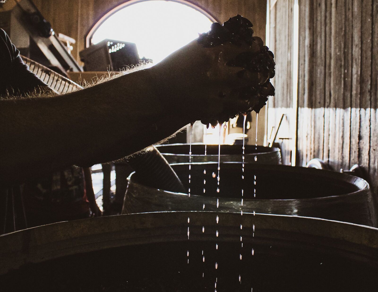 El interior de la bodega durante la elaboración