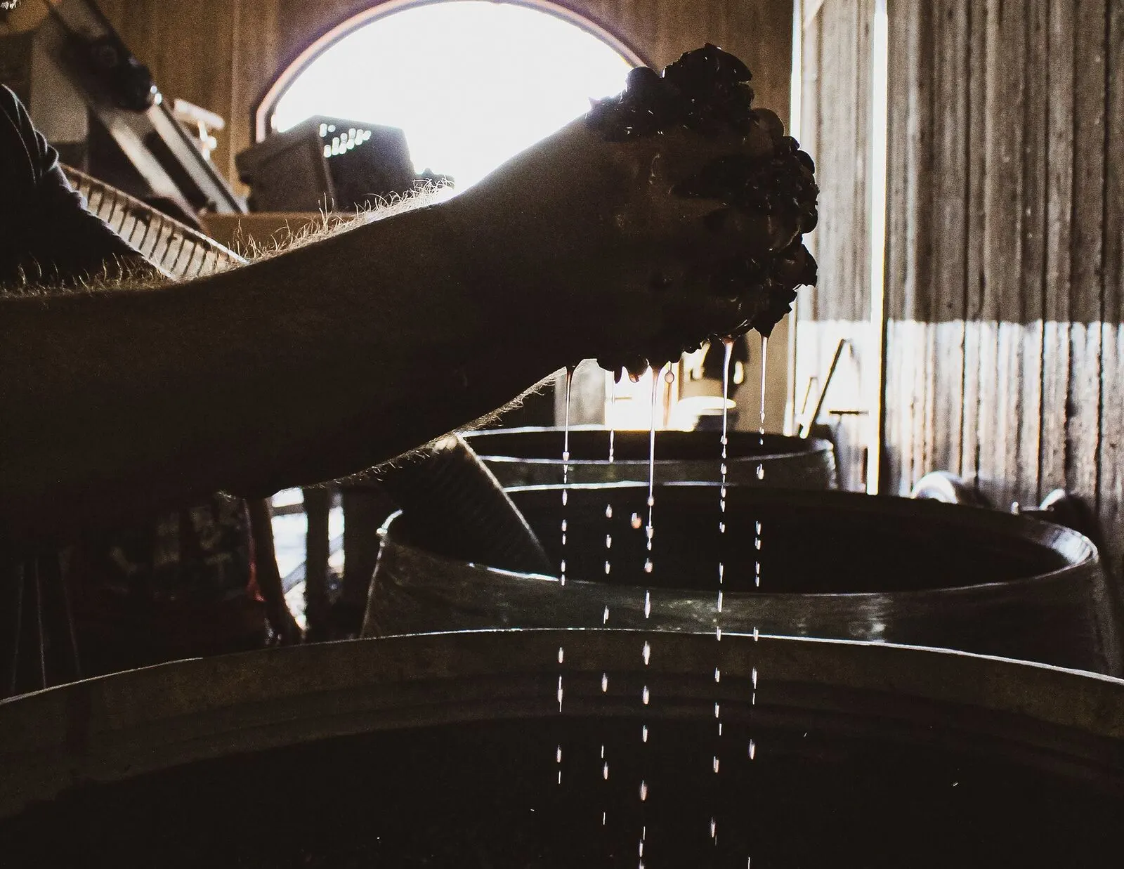 El interior de la bodega durante la elaboración