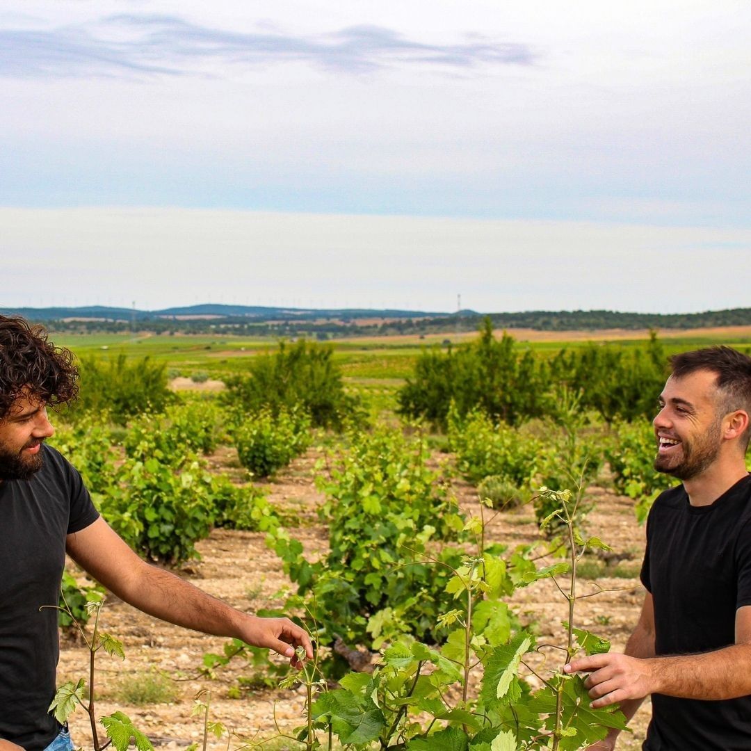 Los hermanos Cerdán, en el techo de Jumilla