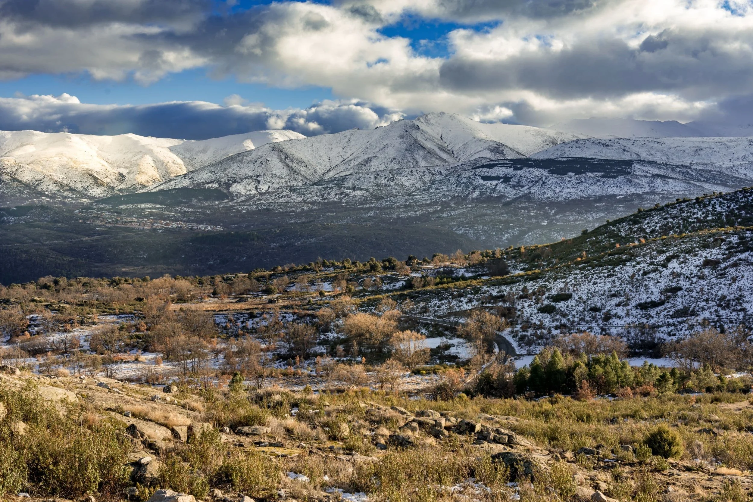 Garnacha vieja de altura en la Sierra de Gredos
