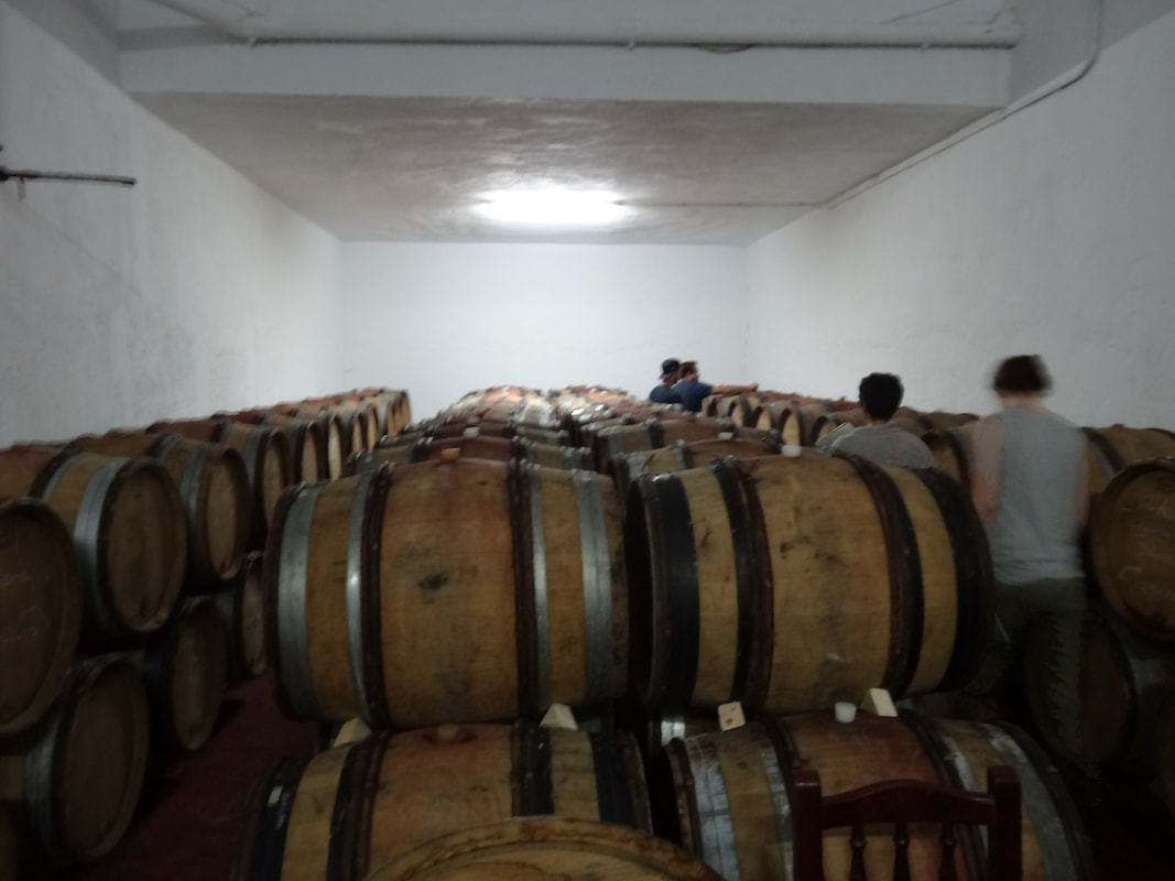 Crianza sin prisa en la bodega