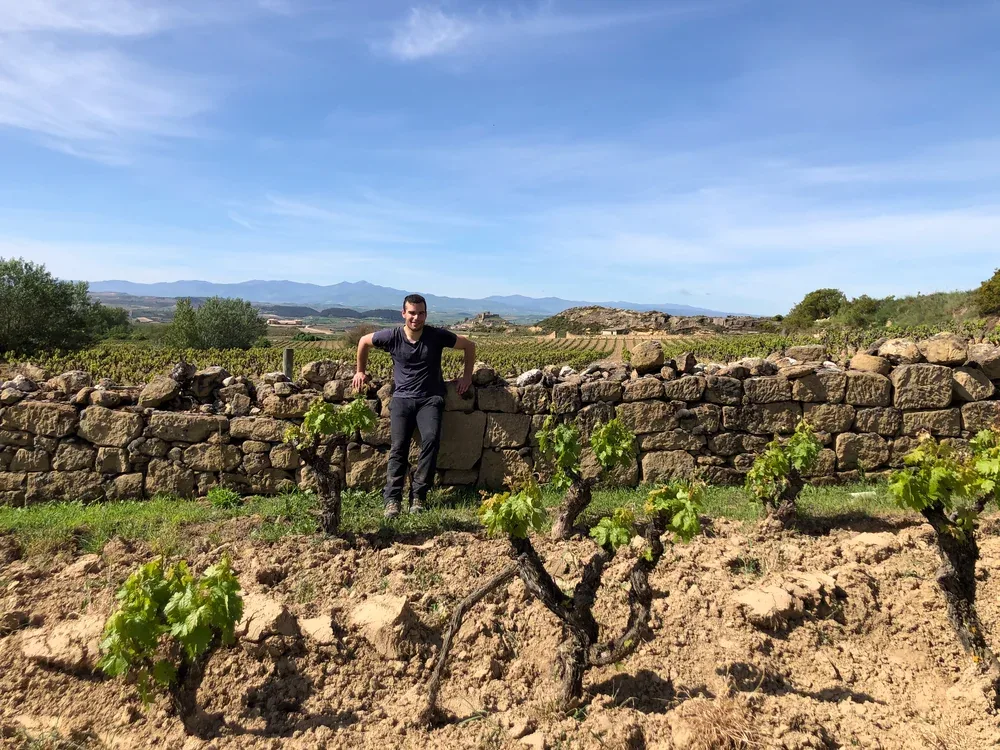 Un hombre apoyado en un muro de piedra seca, con cepas en vaso recién brotadas en primer término y montes al fondo.