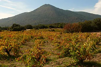Granito descompuesto y monte de jara