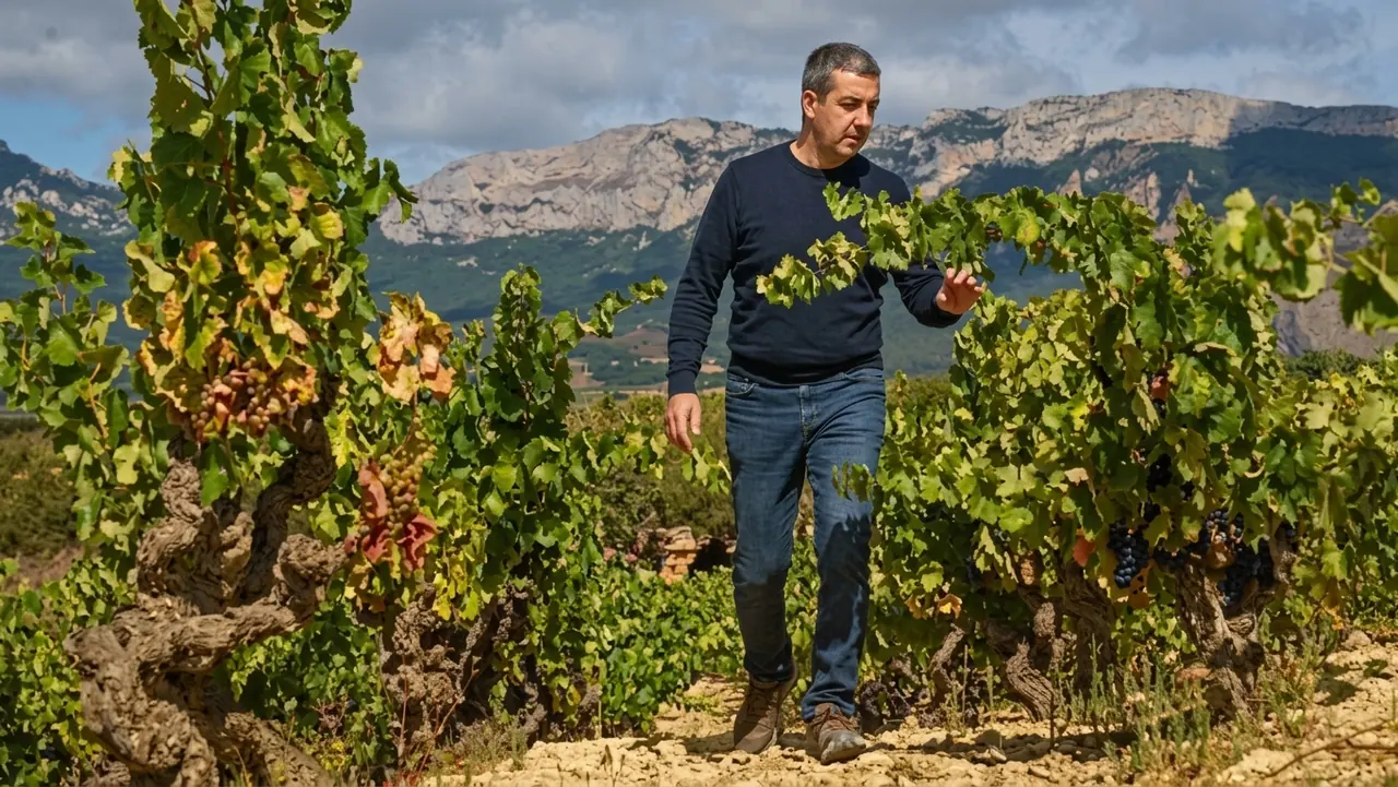 Roberto Oliván caminando entre sus viñas viejas de Tentenublo, con la Sierra de Cantabria al fondo