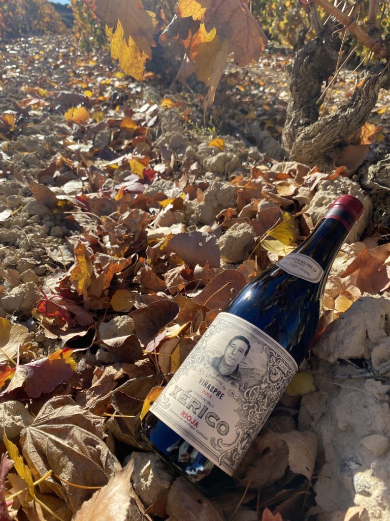 Botella de Tentenublo Xérico Viñaspre sobre las hojas del viñedo en otoño