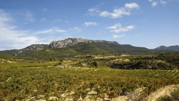 Dominio del Challao