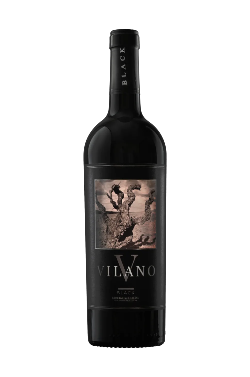 Botella de Vilano Black 2024, de Viña Vilano