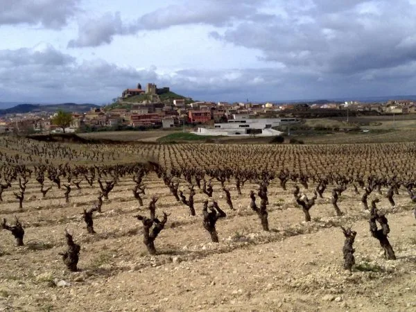 Bodega Contador