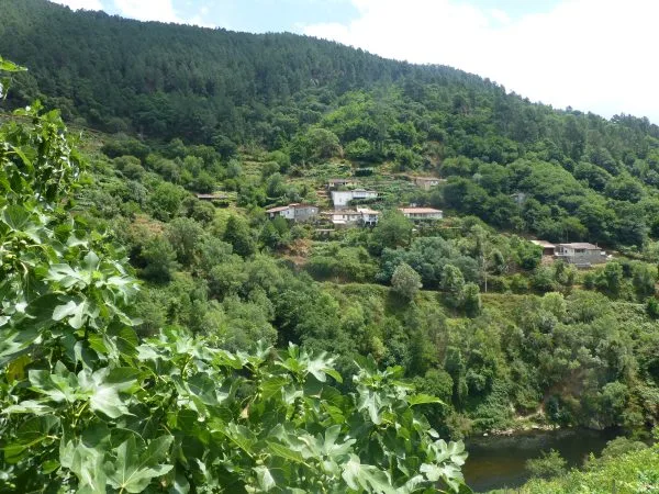 Dominio do Bibei