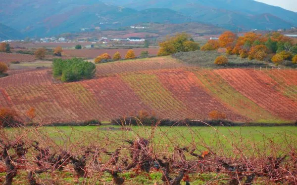 Castro Ventosa