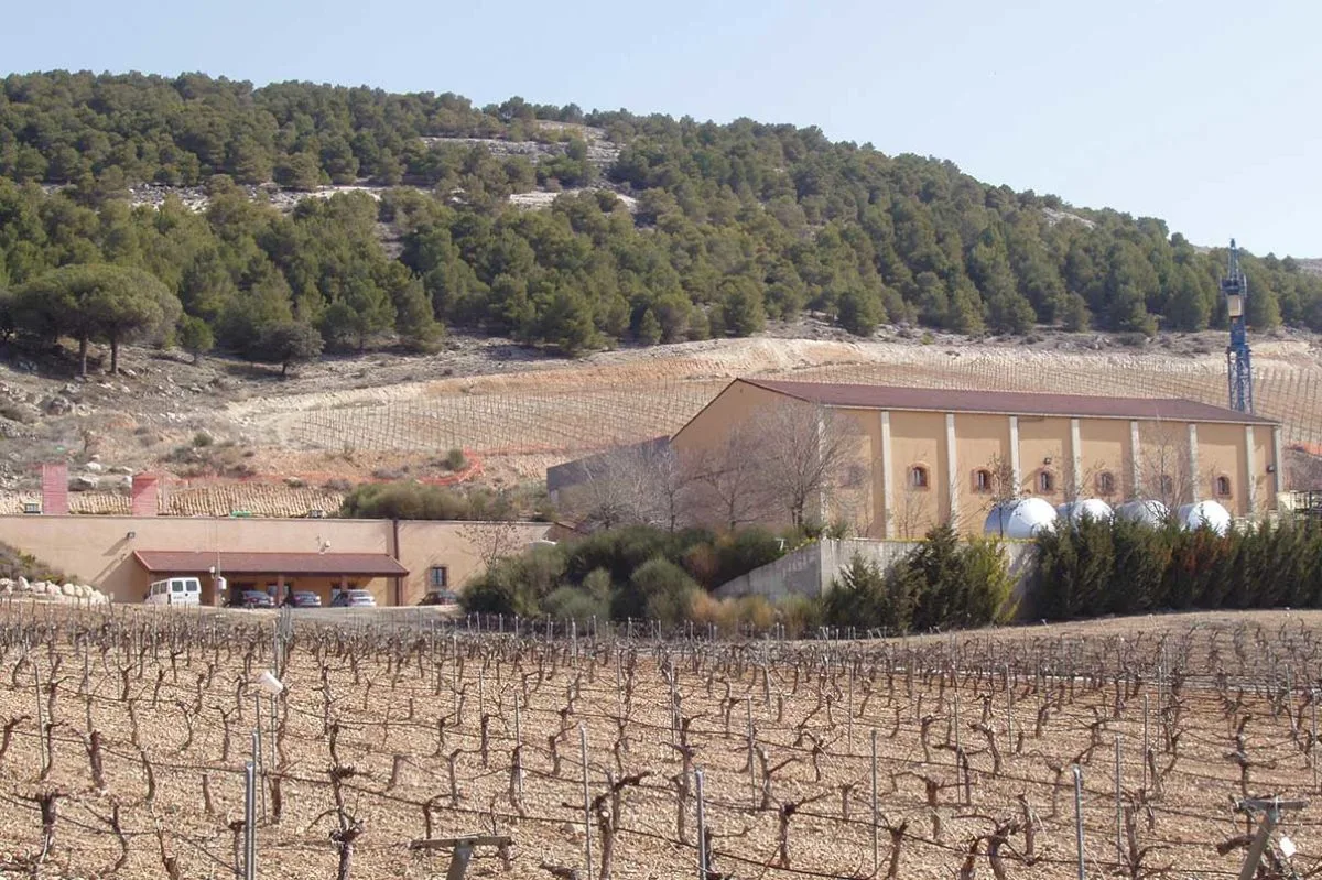 Bodega antigua de Pago de Carraovejas entre sus viñedos