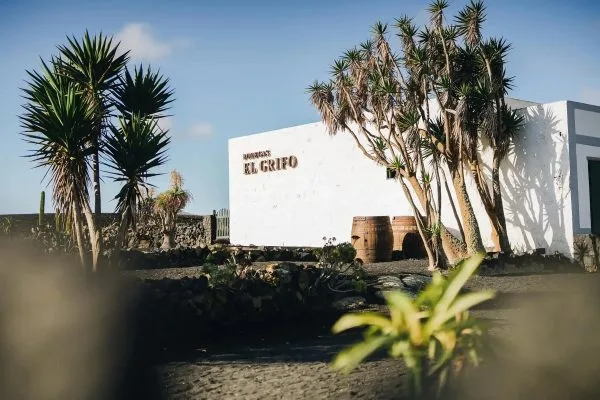 El Grifo