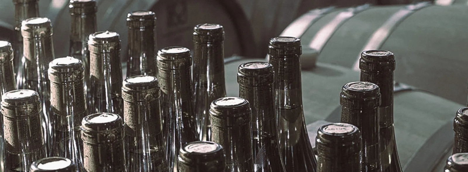 Botellas en la bodega de Valdesil