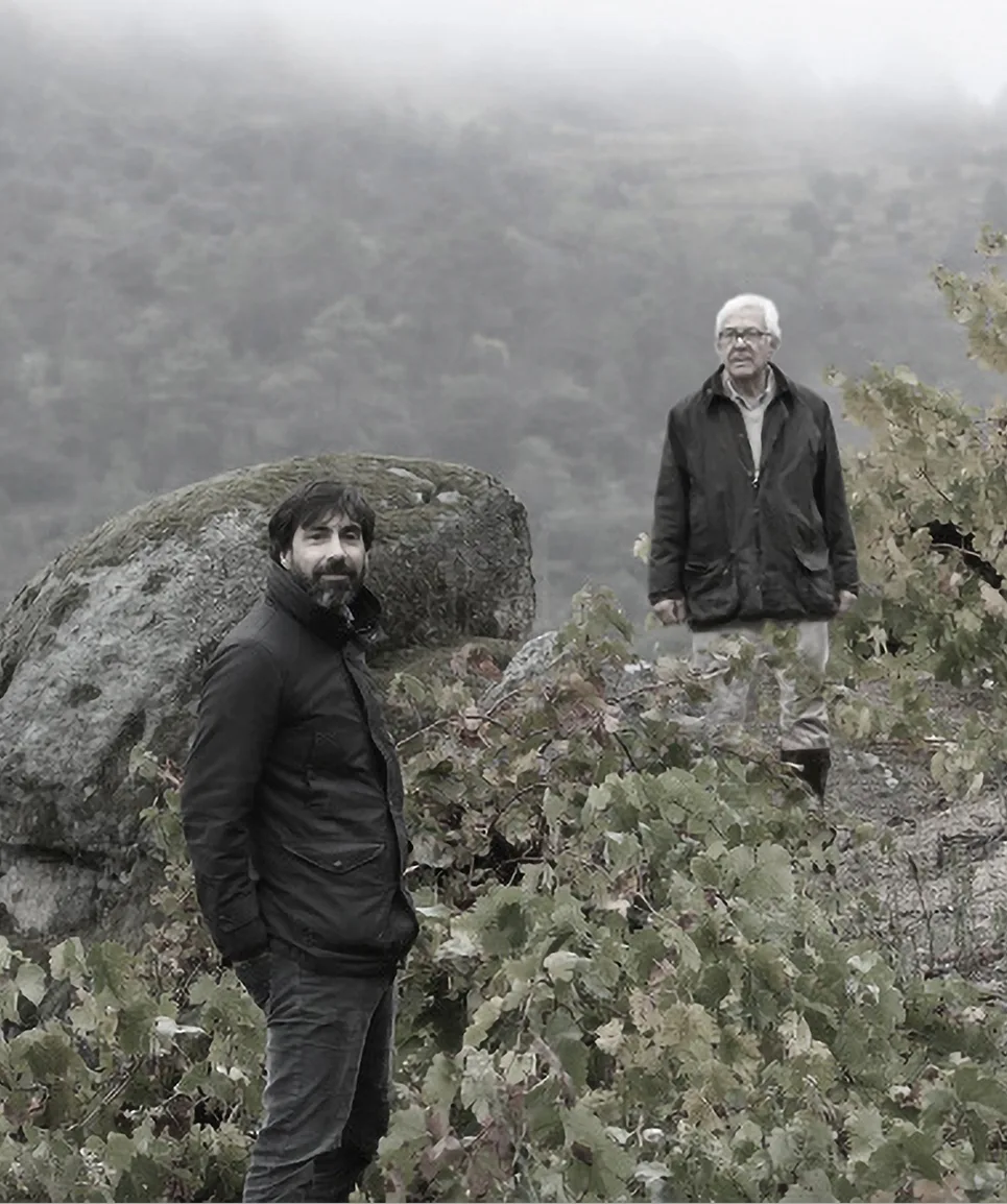 Viñedo de Valdesil entre bloques de granito en Valdeorras