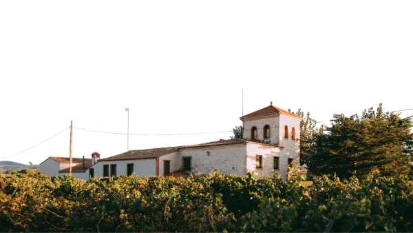 Vegalfaro