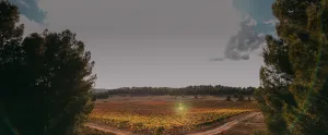 Vegalfaro: ecológicos desde 1999, cuando no lo era nadie
