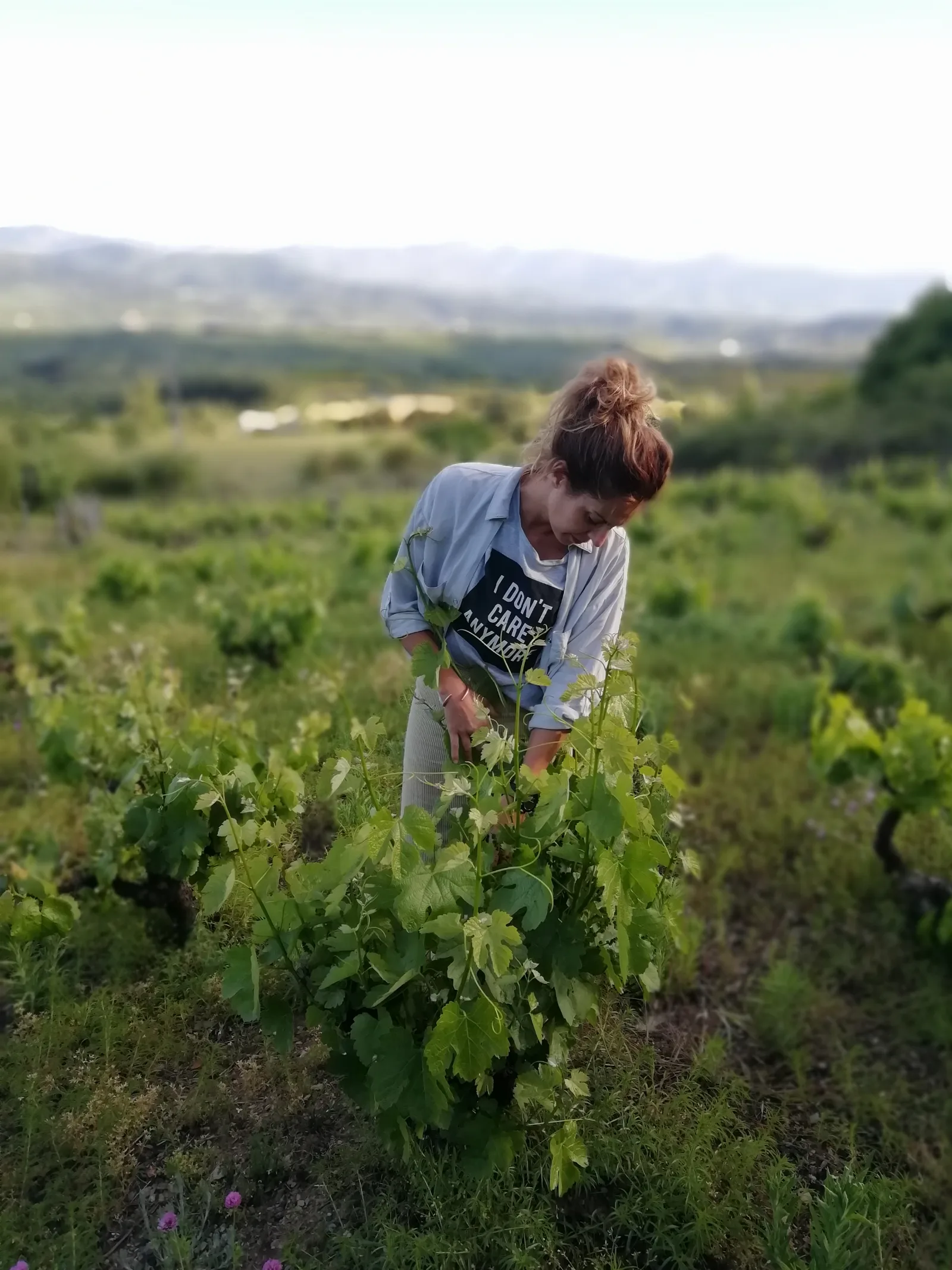 Verónica Ortega trabajando en sus viñedos del Bierzo