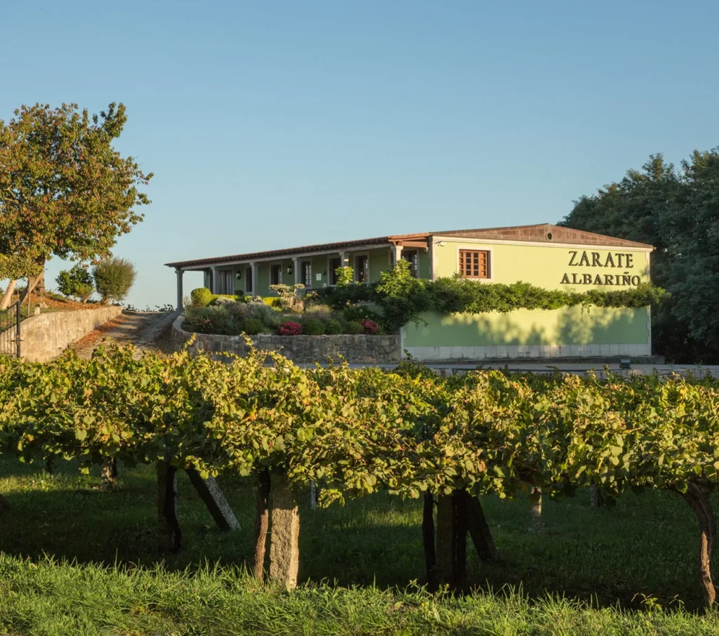 La bodega de Zárate rodeada de viñedo de albariño